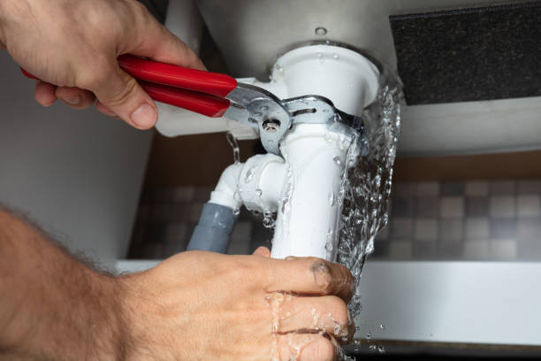 Best Professional water damage repair  in Cave City, AR