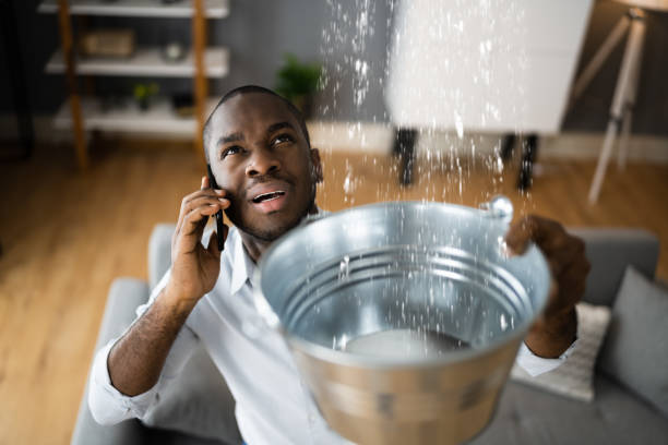 Best Water damage restoration cost  in Cave City, AR