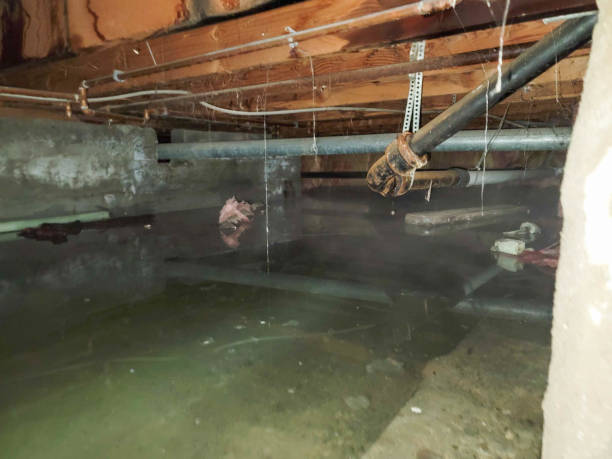 Best Residential water damage restoration  in Cave City, AR