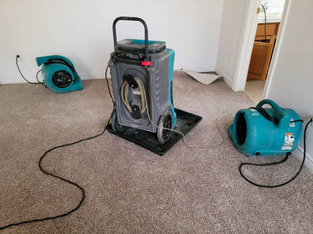 Best Local water damage restoration  in Cave City, AR