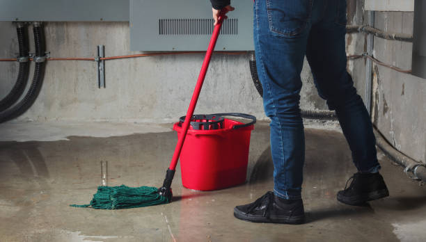 Best Ceiling water damage repair  in Cave City, AR