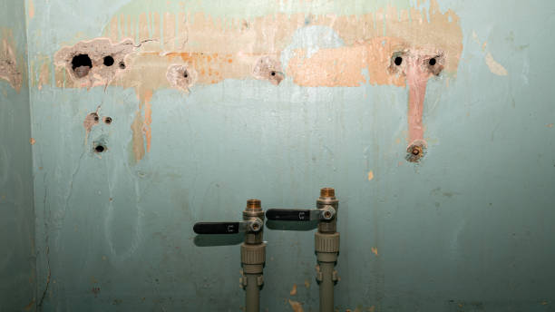 Local water damage restoration in Cave City, AR