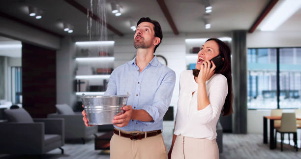  Cave City, AR Water damage restoration Pros