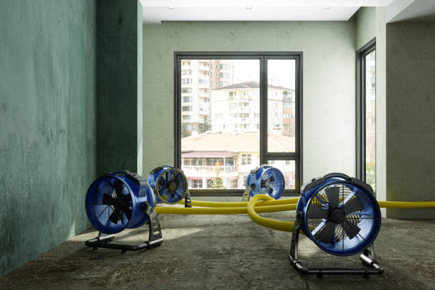 Best Water damage cleanup near me  in Cave City, AR