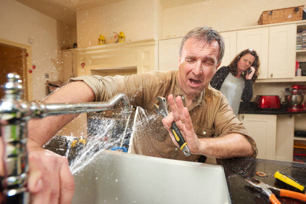 Best Flood damage cleanup  in Cave City, AR